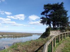 149 DOMAINE DE BLAIRE ET ENVIRONS MAINE ET LOIRE 2016 N0_000034